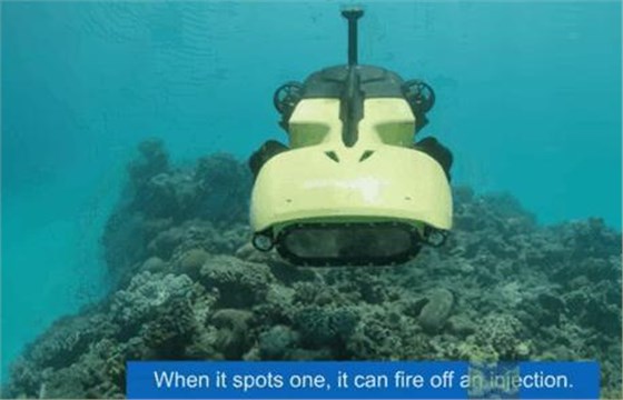 配备高精度振荡器的珊瑚礁养护机器人在海里大显身