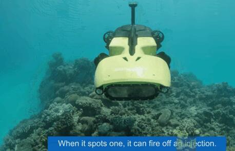 配备高精度振荡器的珊瑚礁养护机器人在海里大显身